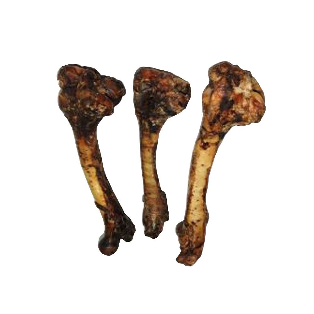 kość jelenia suszona kość jelenia suszona