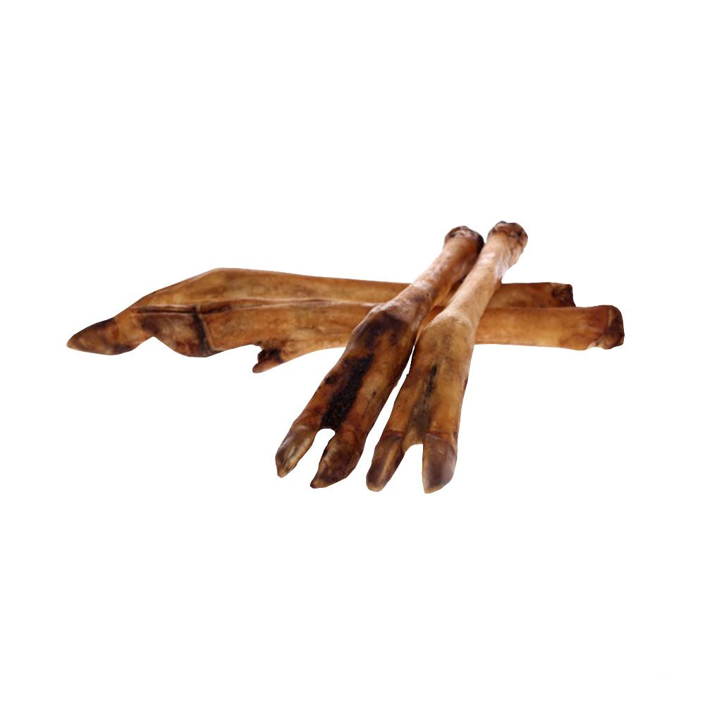 Noga sarny suszona Noga sarny suszona