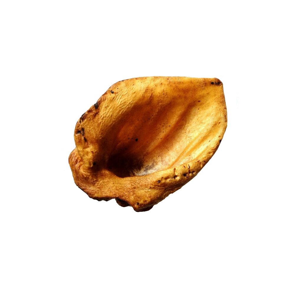 Ucho dzika suszone Ucho dzika suszone