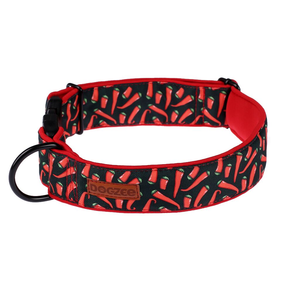 obroża z klamrą dla psa obroża z klamrą dla psa, wytrzymała