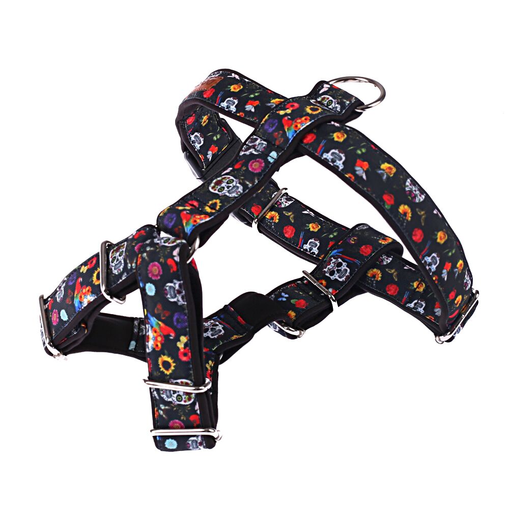 Szelki Guard dla psa Czaszki Szelki Guard dla psa Czaszki, stylowa