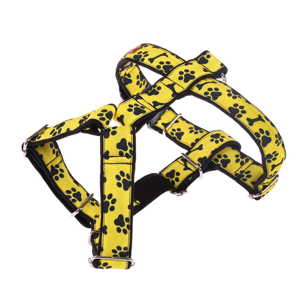 Szelki Guard dla psa Danger, stylowy