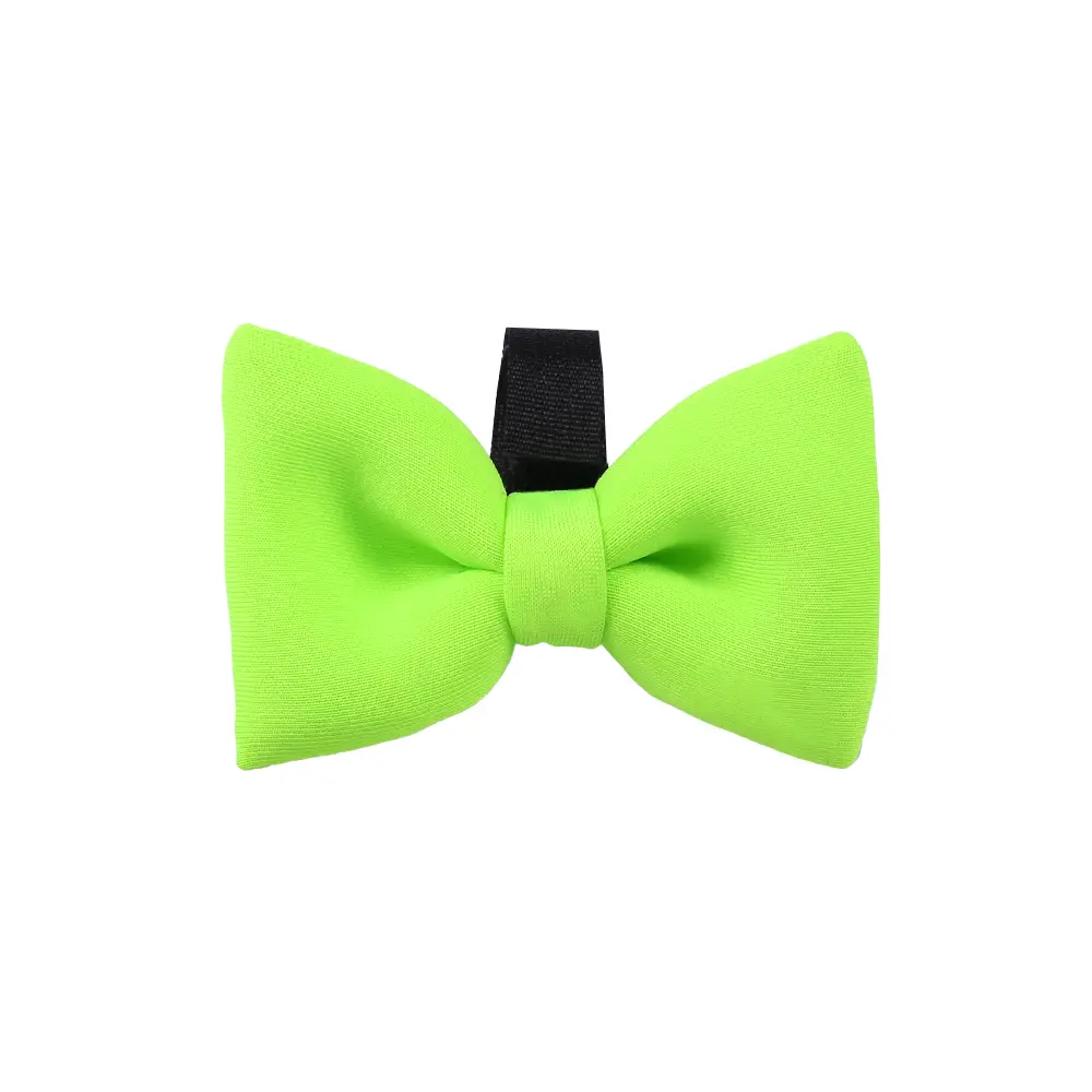 Mucha dla psa limonka, praktyczna