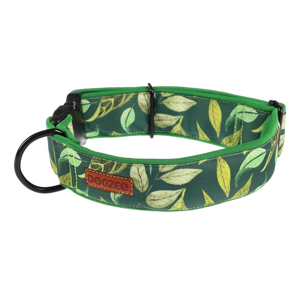 obroża dla psa, mocna i wytrzymała